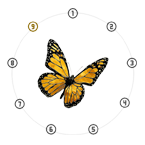 Stage VI: Phase 6.2 Papilio. A wingspread orange and black Monarch butterfly centered in a 9-node dial, with node 9 highlighted in gold.