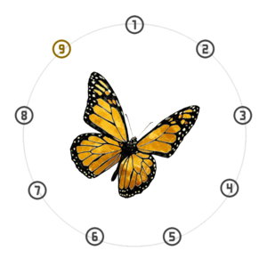 Stage VI: Phase 6.2 Papilio. A wingspread orange and black Monarch butterfly centered in a 9-node dial, with node 9 highlighted in gold.