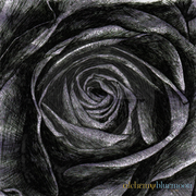 Fig. 5.7.05: The Black Rose of the Logos (2016), representing the maturation of the Impersonal Logos into a substantial, fixed form within the Outward Stone.