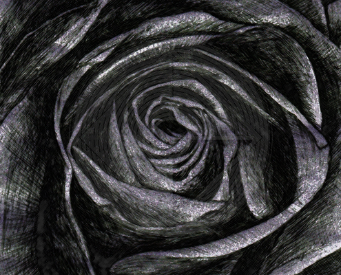 Fig. 5.7.05: The Black Rose of the Logos (2016), representing the maturation of the Impersonal Logos into a substantial, fixed form within the Outward Stone.