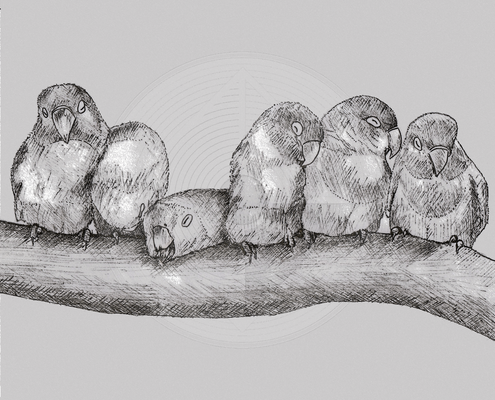 Fig. 1.0.01: The Aviary (2012). Representing the alchemical Mortificatio and the Nigredo, where the collapse of ego-striving leads to a heavy, foundational silence.