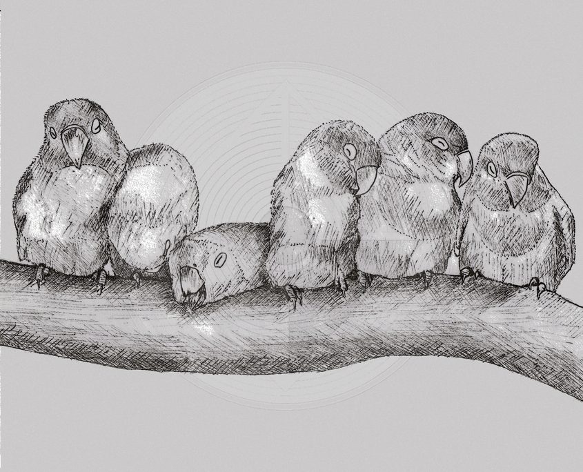 Fig. 1.0.01: The Aviary (2012). Representing the alchemical mortificatio and the nigredo, where the collapse of ego-striving leads to a heavy, foundational silence.