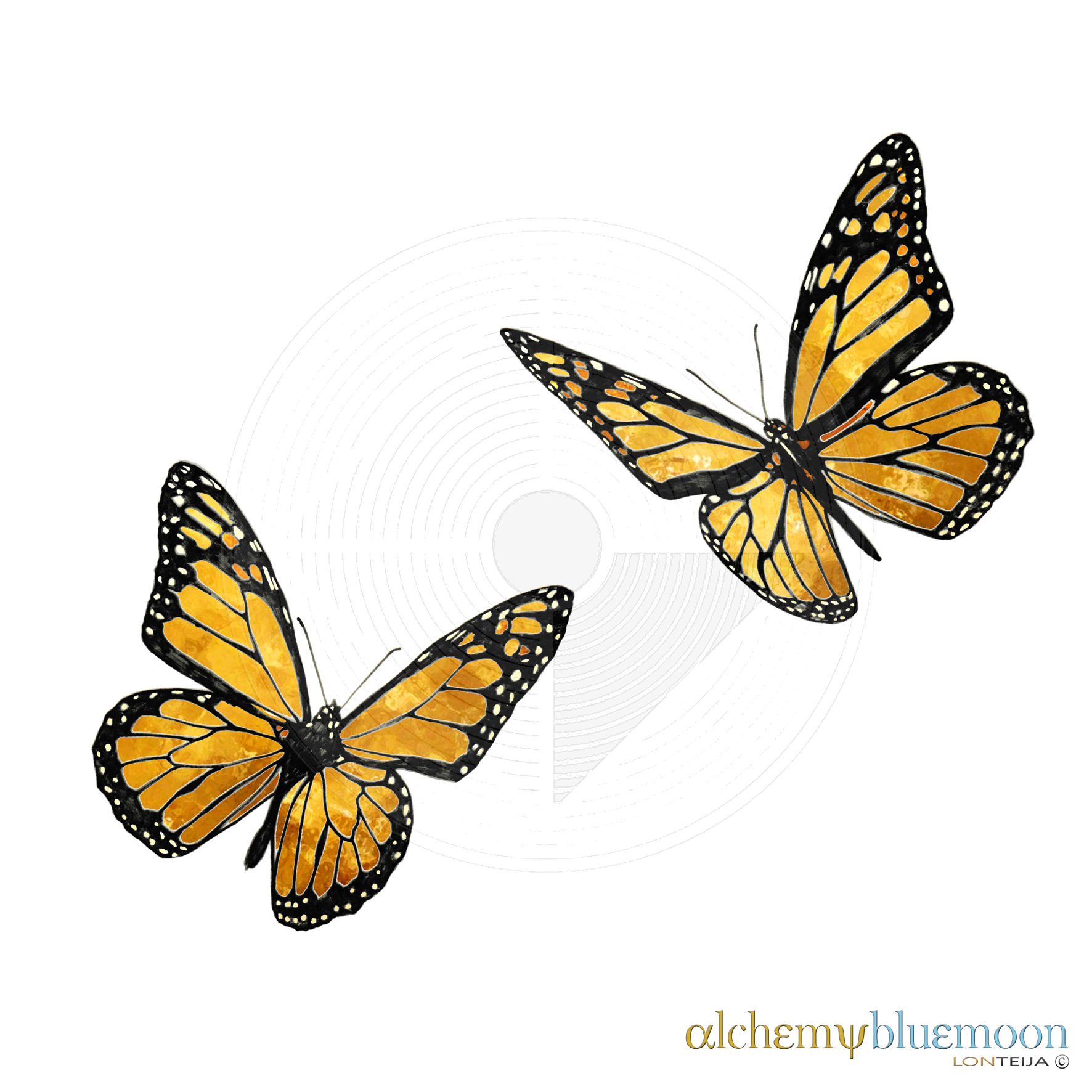Fig. 5.2.01: The Butterfly Marriage (2015). Representing a volatile Coniunction and mirrored flight, where the individual essence and the Absolute operate as one.