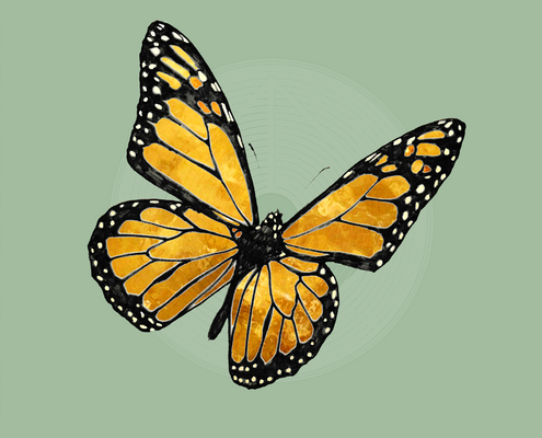 Fig. 6.0.14: The Golden Vision: The Pre-Destined Eclosion (2017). Golden monarch butterfly with open wings on a plain green background.
