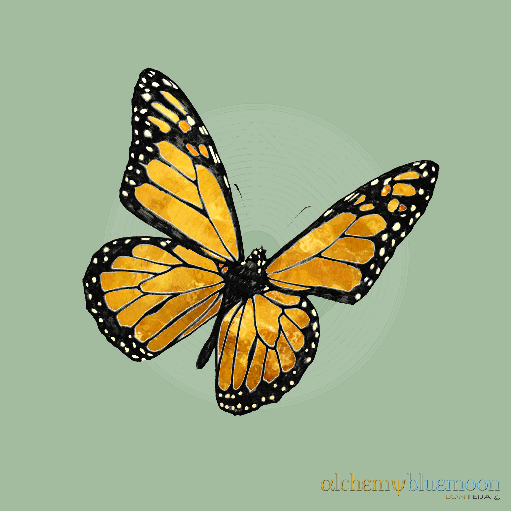Fig. 6.0.14: The Golden Vision: The Pre-Destined Eclosion (2017). Golden monarch butterfly with open wings on a plain green background.