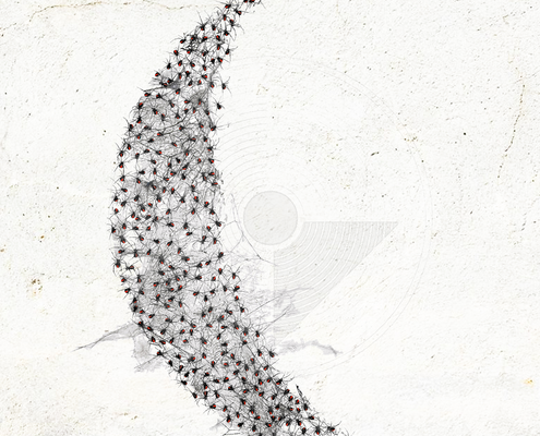 Fig. 5.7.23: Crescent Moon of Baby Spiders (2016). Representing the terminal Fermentatio, where a swarming, newborn intelligence weaves a high-tensile web to anchor the spirit.