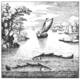 The Book of Lambspring. A vast, open sea terrain with two large, primitive marine fishes swimming in opposite directions within the fluid foreground landscape.