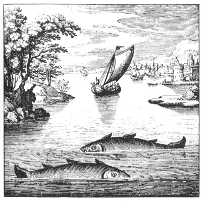 An alchemical copperplate engraving depicting a vast, open sea terrain with two large, primitive marine fishes swimming in opposite directions within the fluid foreground landscape.