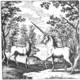 The Book of Lambspring. A wild forest landscape populated by a prominent white stag and a horned white unicorn walking side-by-side between ancient tree trunks.