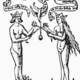 Rosarium Philosophorum. A naked King and Queen standing together under a falling dove, stripping away their garments.