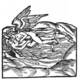 Rosarium Philosophorum. A winged, two-headed hermaphrodite resting horizontally on a rolling landscape.