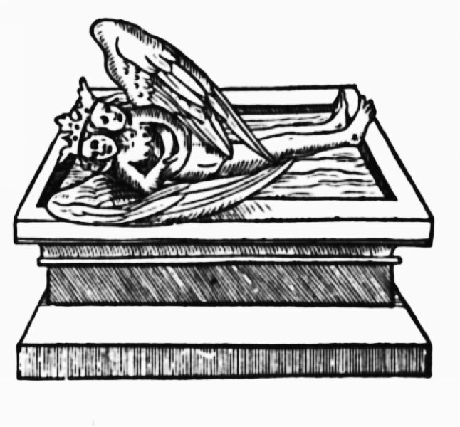 A two-headed hermaphrodite with angel wings lying resting inside a stone tomb, representing the containment and fixation of volatile spirit.