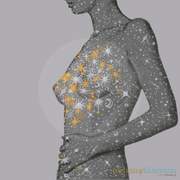 Fig. 5.3.04: The Effervescent Heart (2015). Representing the internal Multiplicatio following the Royal Marriage, where stars and suns bubble within the physical core.
