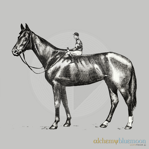 Fig. 5.1.11a: The Solitary Race (2015), documenting the somatic realisation of the Fundamental Ground and the weighted stillness of the Absolute.