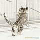 Fig. 1.0.02: The Breakout of the Essence (2012). Sketch of a tiger cub from behind, climbing a white wooden bird aviary against a plain background.