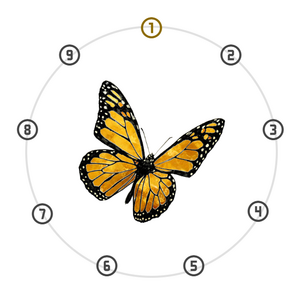 Metamorphic Dial State Diagram Stage VI 6.0 Eruca Highlighted Token 1 Terrestrial Anchorage Milestone