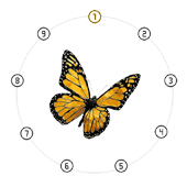 The Metamorphic Calculus Dial Overview: Stage VI 9-Beat Chrysalis Metamorphosis Countdown Matrix on the Homepage