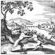 The Book of Lambspring. An open countryside path where a wild forest wolf and a disciplined domestic hound are observed walking in a peaceful, balanced alignment.