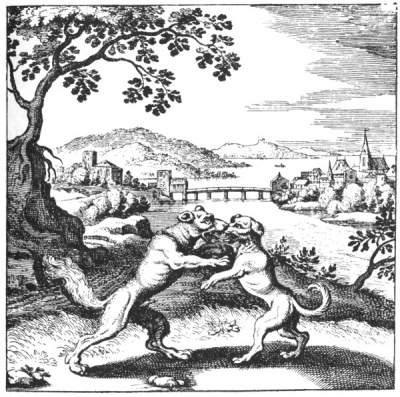 An alchemical copperplate engraving depicting an open countryside path where a wild forest wolf and a disciplined domestic hound are observed walking in a peaceful, balanced alignment.