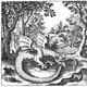 The Book of Lambspring. A traditional circular Ouroboros symbol featuring a winged dragon form coiled horizontally while actively devouring its own tail limits.
