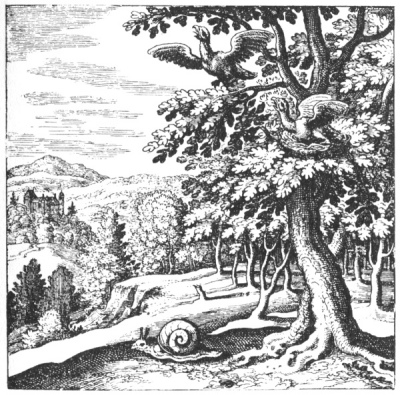 An alchemical copperplate engraving depicting a forest thicket with two matched birds, where one bird is perched quietly inside its nest while the other extends wings to fly upward.