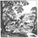 The Book of Lambspring. Two human-sized birds engaged in an aggressive aerial combat sequence over a clearing, with one bird descending to conquer the other.