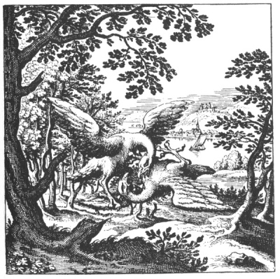 An alchemical copperplate engraving depicting two human-sized birds engaged in an aggressive aerial combat sequence over a clearing, with one bird descending to conquer the other.