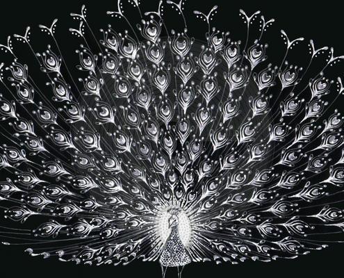 Fig. 5.4.02: The White Peacock (2015). The purification of universal vision and the multifaceted awareness of the Anima Mundi.